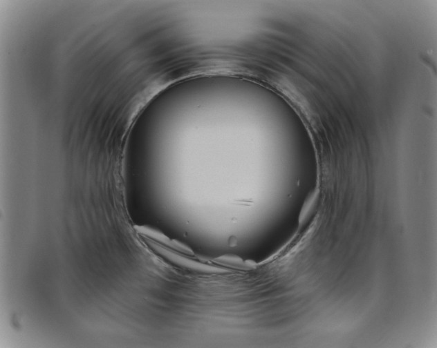 X0000098151481200804241727