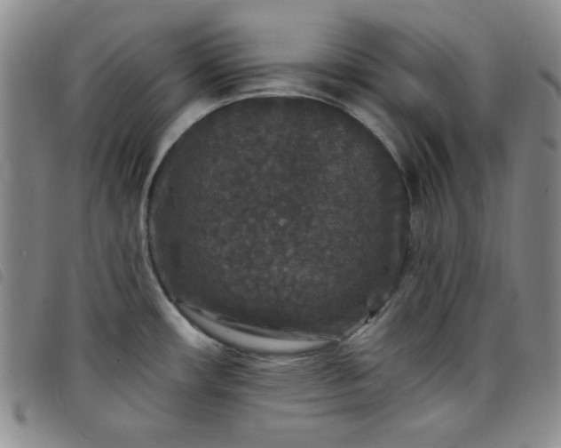 X0000098151482200804241727