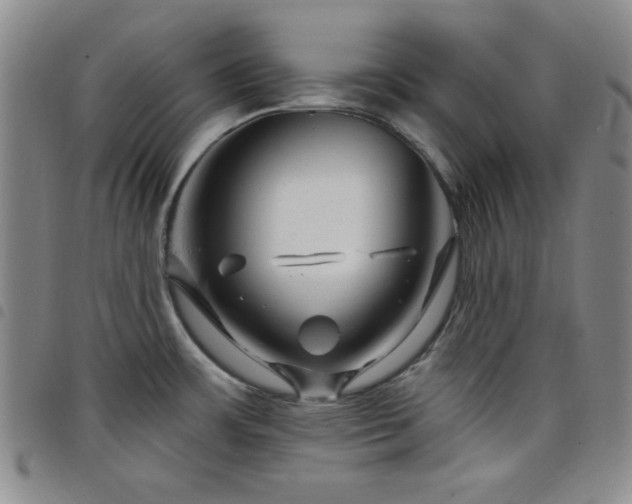 X0000098151483200804241727