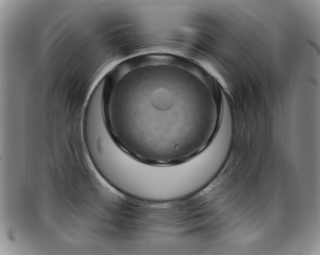 X0000098151484200804241727