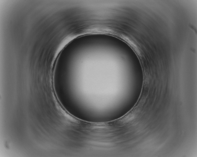 X0000098151486200804241727