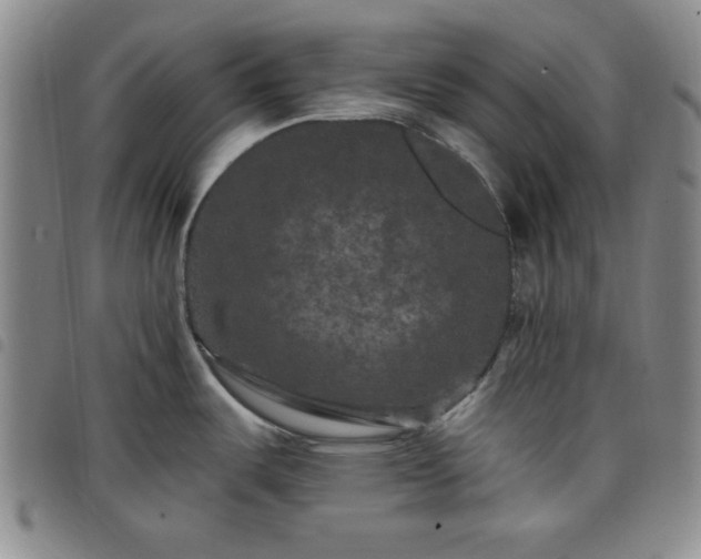 X0000098151487200804241727