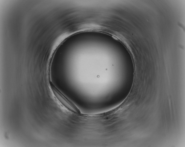 X0000098151488200804241727