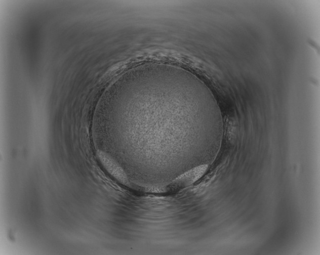 X0000098151489200804241726