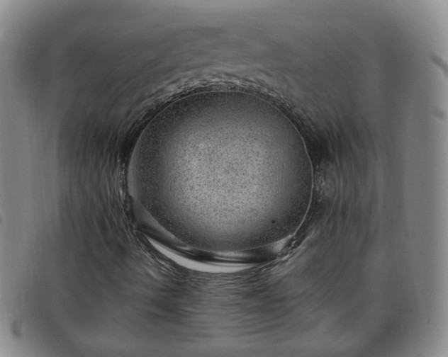 X0000098151490200804241726