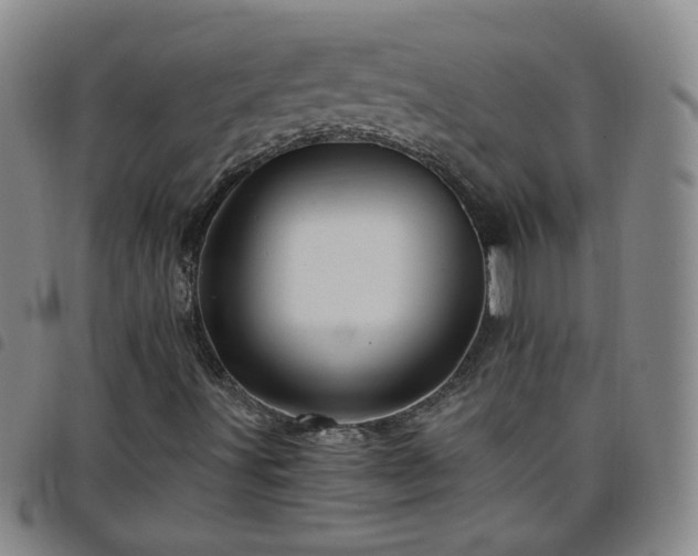 X0000098151491200804241726