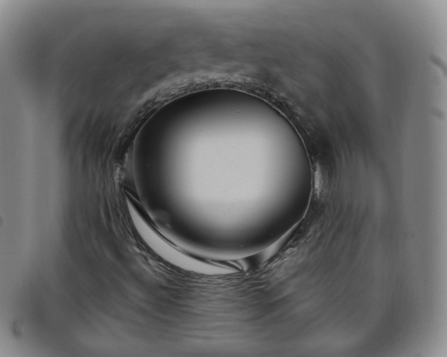 X0000098151492200804241726
