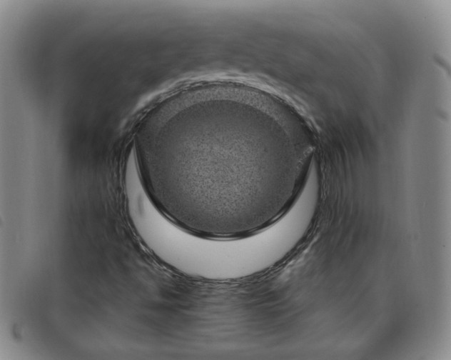 X0000098151494200804241726
