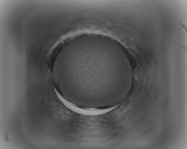 X0000098151495200804241726