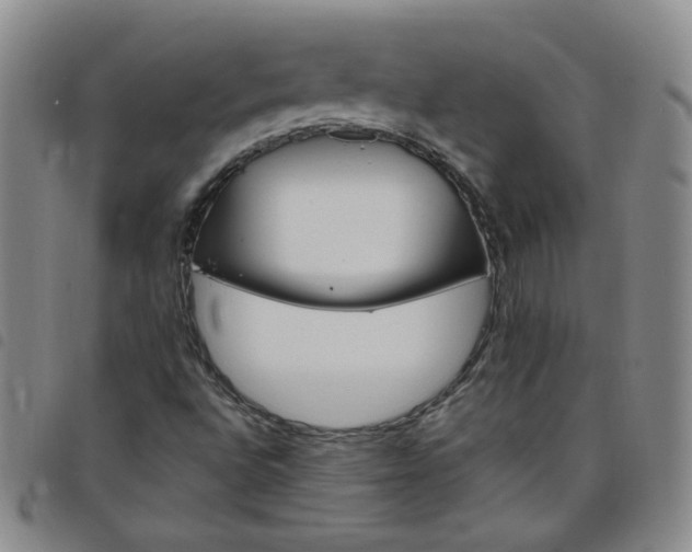 X0000098151496200804241726