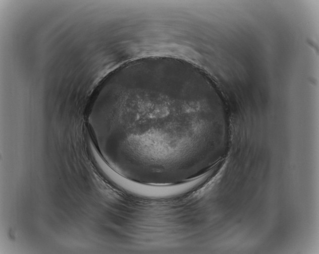 X0000098151497200804241726