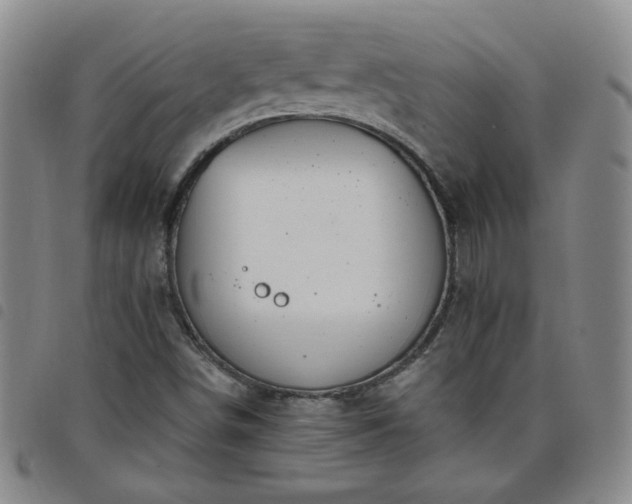 X0000098151498200804241726