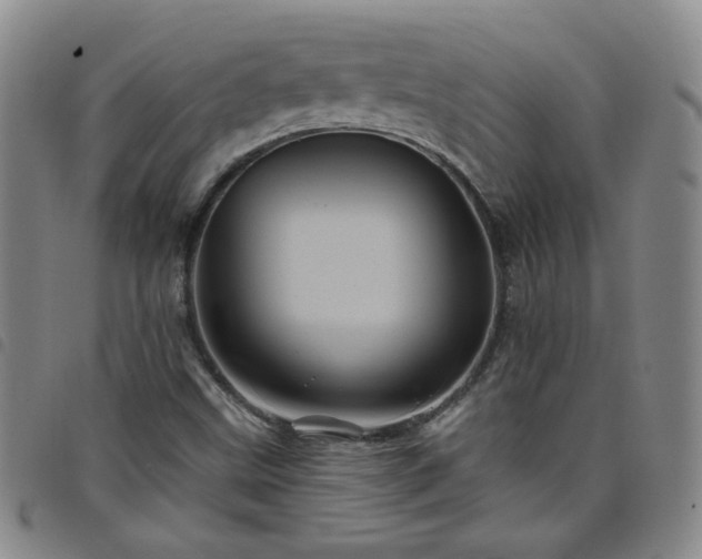 X0000098151499200804241726