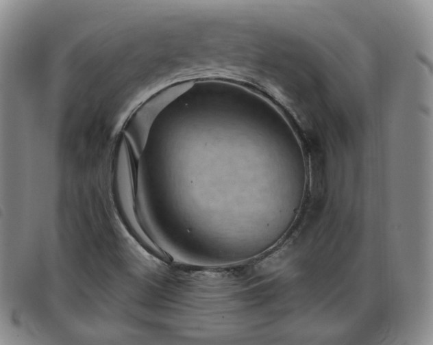 X0000098151500200804241726