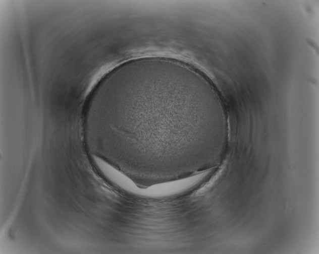 X0000098151501200804241726
