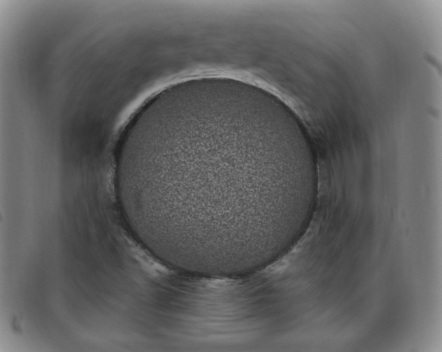 X0000098151502200804241726
