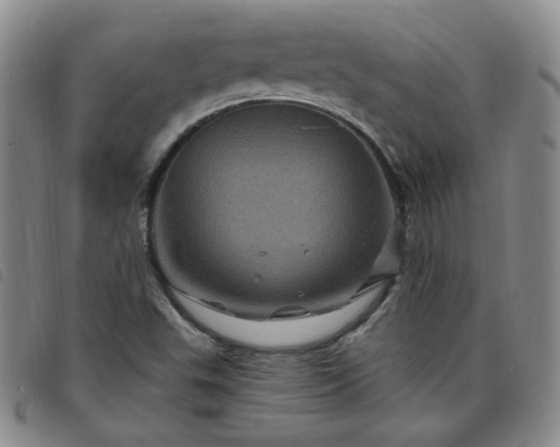 X0000098151503200804241726