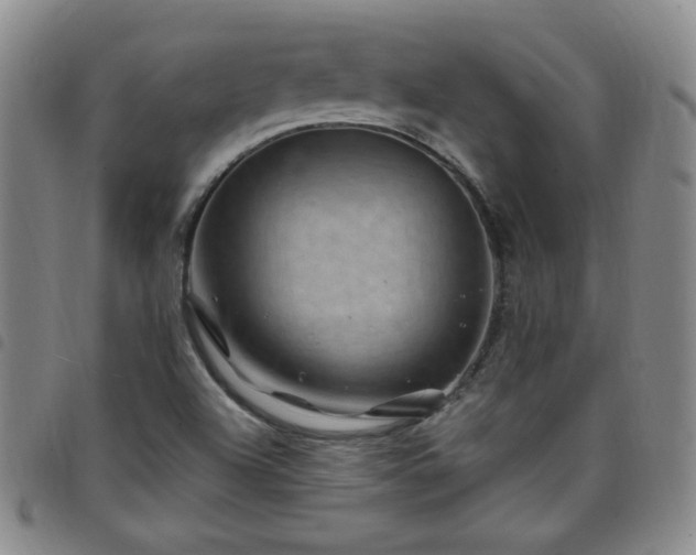 X0000098151504200804241726