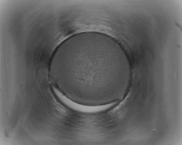 X0000098151505200804241726