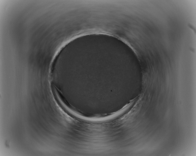 X0000098151508200804241726