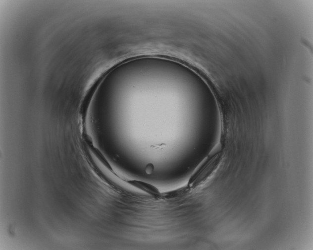X0000098151509200804241726