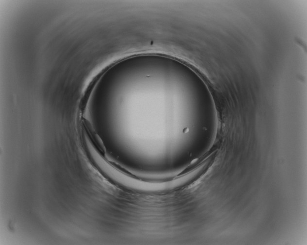 X0000098151510200804241726