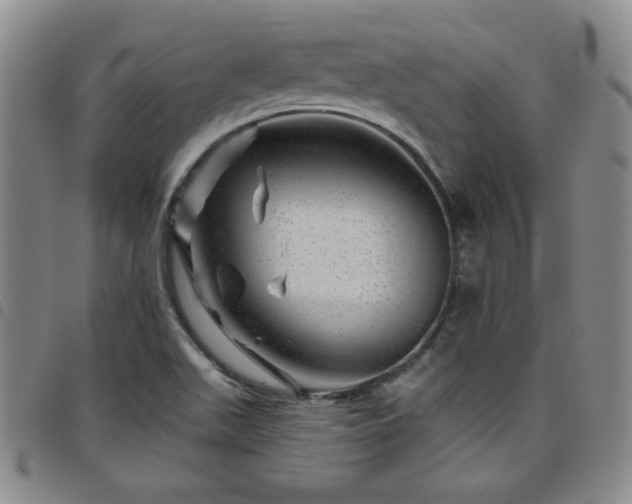 X0000098151511200804241726