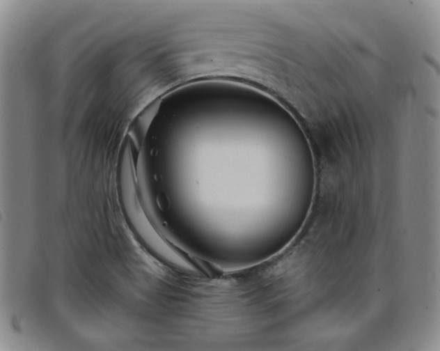 X0000098151513200804241726