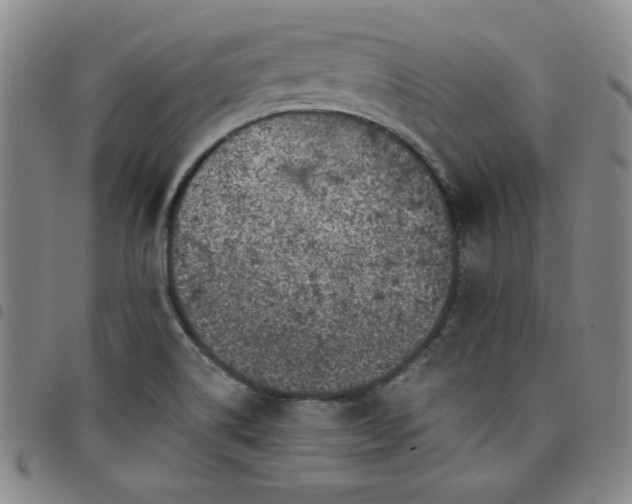 X0000098151514200804241726