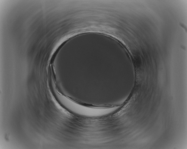 X0000098151515200804241726