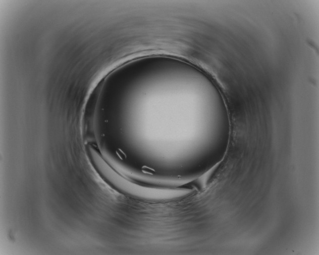 X0000098151516200804241726