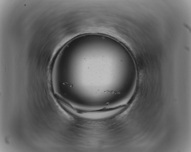 X0000098151517200804241726