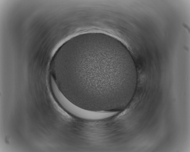 X0000098151518200804241726