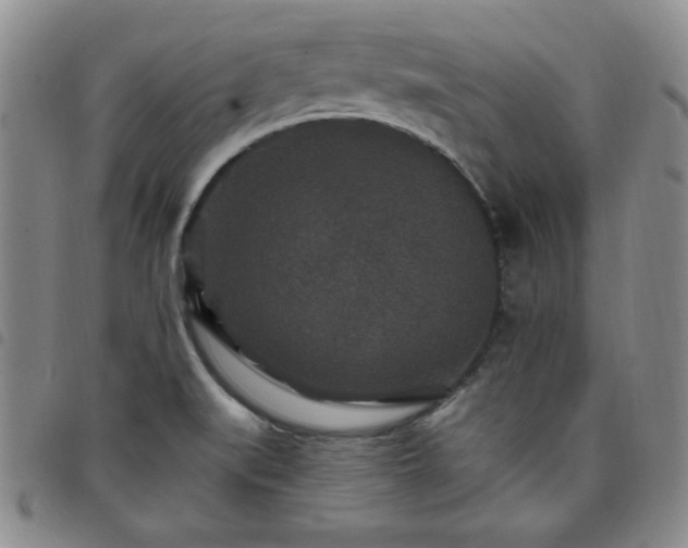 X0000098151519200804241727