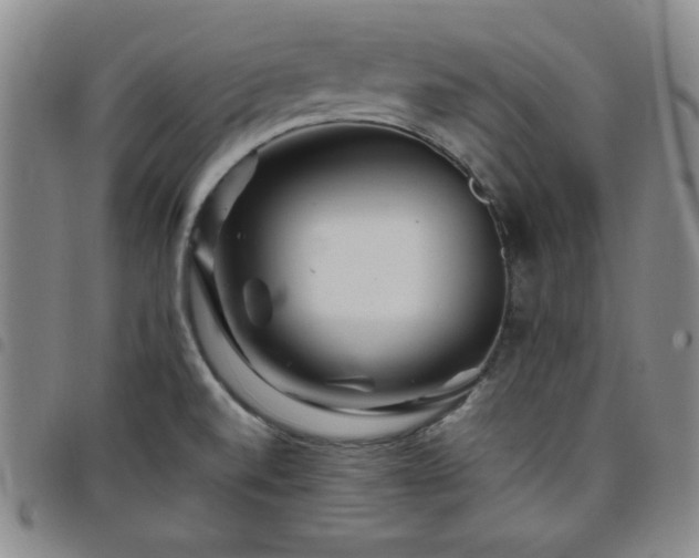 X0000098151520200804241727
