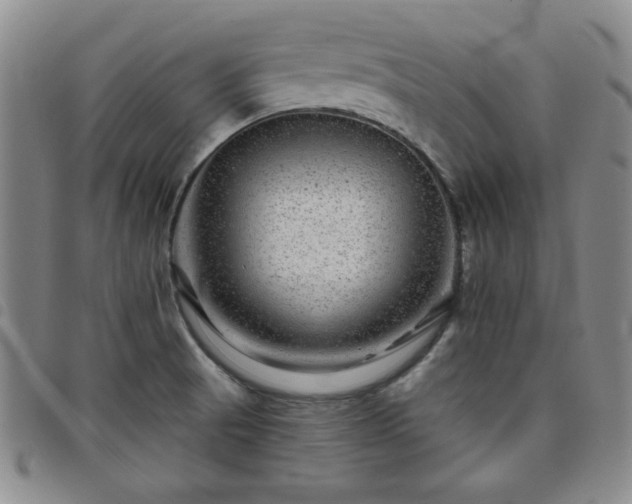 X0000098151521200804241727