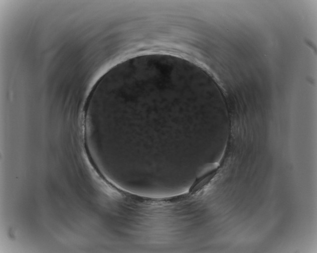 X0000098151522200804241727