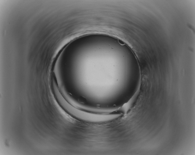 X0000098151523200804241727