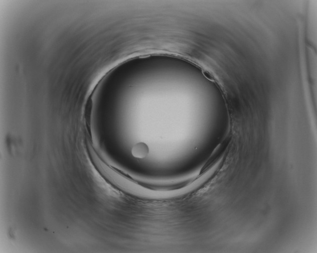 X0000098151524200804241727