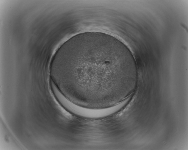X0000098151525200804241727
