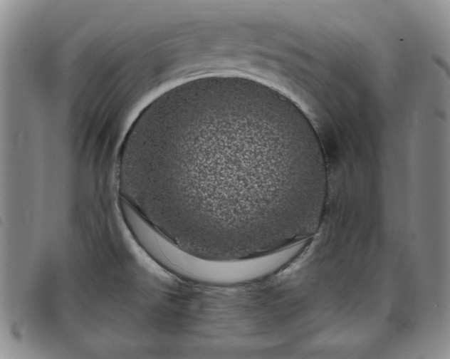 X0000098151526200804241727