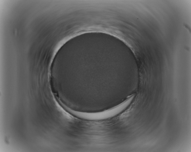 X0000098151527200804241727