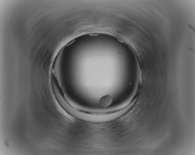 X0000098151528200804241727