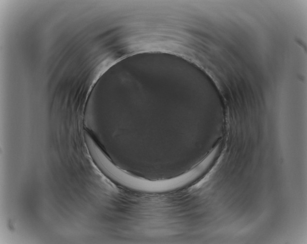 X0000098151529200804241727