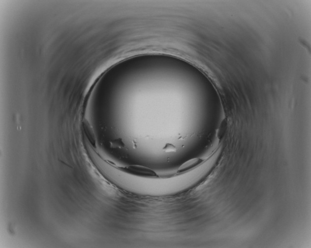 X0000098151530200804241727