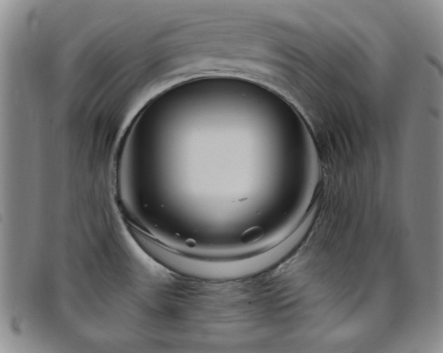 X0000098151531200804241727