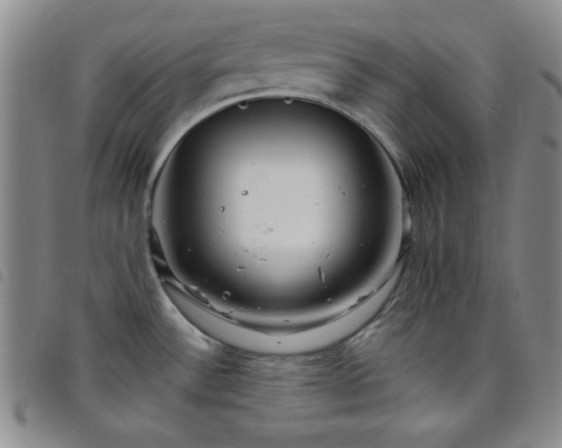 X0000098151532200804241727