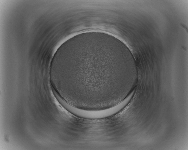 X0000098151534200804241727