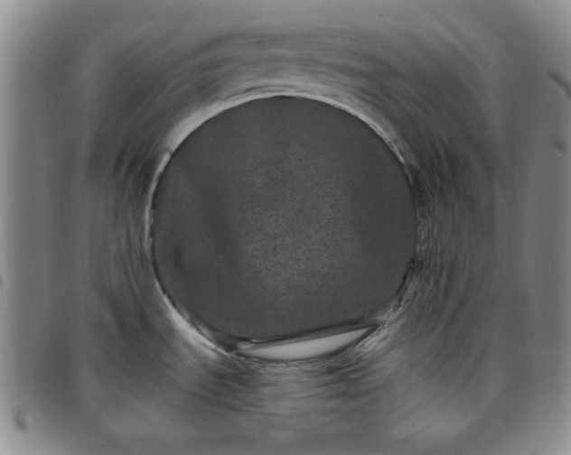 X0000098151535200804241727