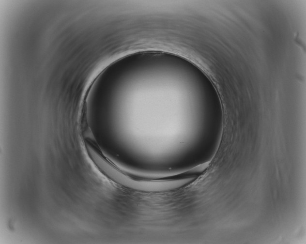 X0000098151536200804241727